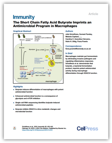 butyrate immunity