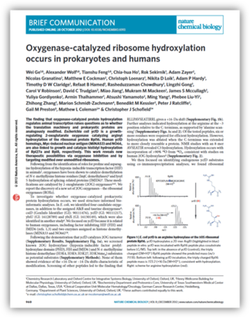 oxygen catalyzed ribosome
