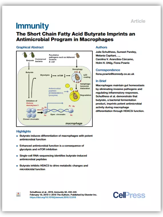 butyrate immunity
