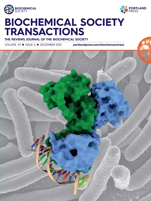 m bst 49 6 cover 
