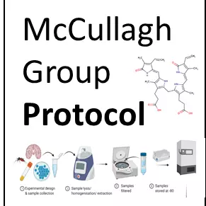 mccullagh group protocolb
