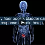 dietary fibre