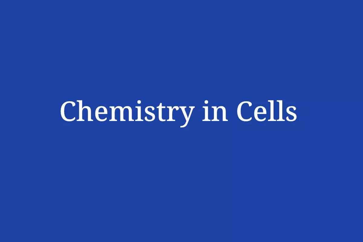 Chemistry in Cells