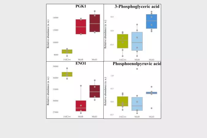 Proteomics diagram