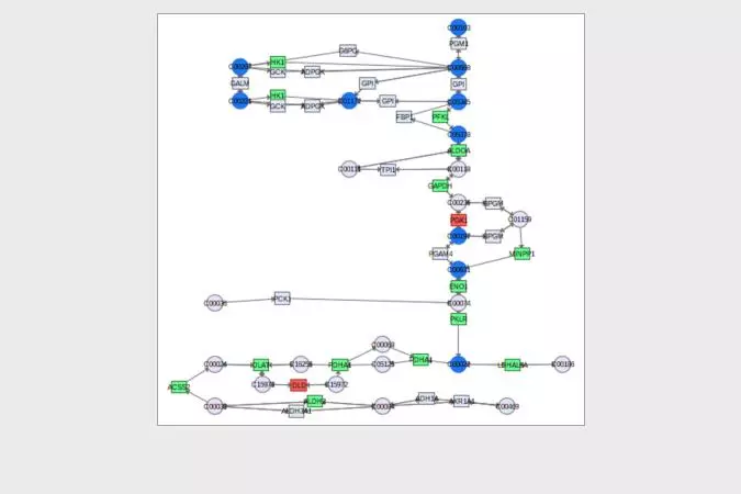 Multiomics diagram